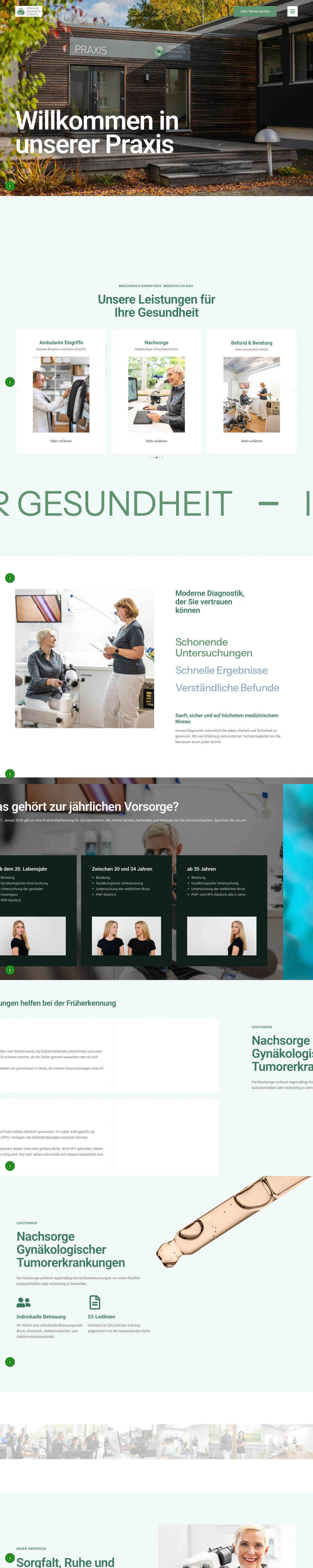 Website Dysplasie Diagnostik Dokoupil am Computer